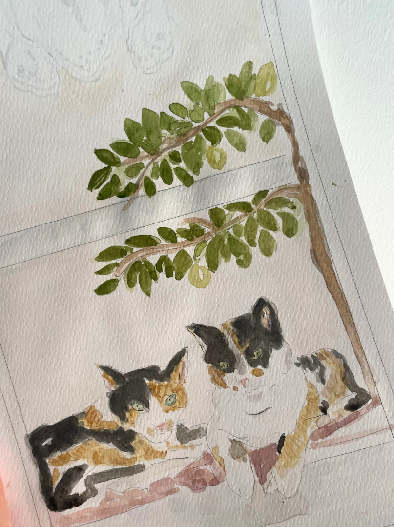 Ilustrações Personalizadas | Maria Carvão 3 | Maria Carvão